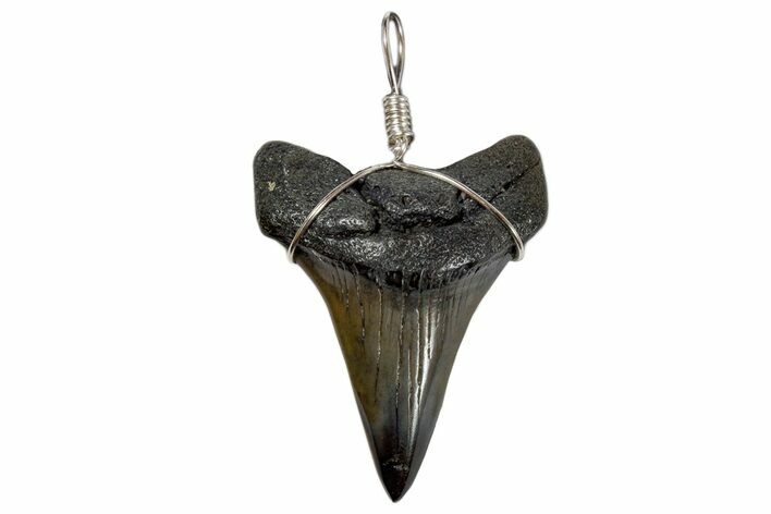 Wire Wrapped Fossil Mako Tooth Necklace #173877
